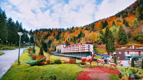 Sairme Hotels & Resorts - Accommodation - Sairme