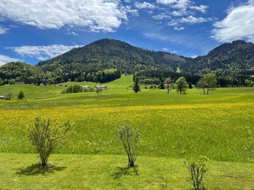 Ferienwohnungen Heillinger Gütl