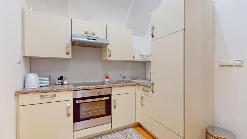 Central Apartmany Biela street, Bratislava (fotografie 7)