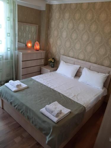 Two-Bedroom Apartment in Tbilisi