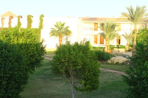 Standard Double Room with Garden View image 7