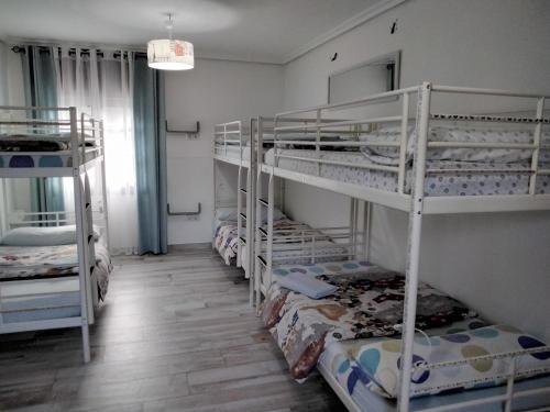 6-Bed Mixed Dormitory Room