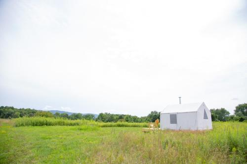 Tentrr Signature - Orchard Tent - image 14