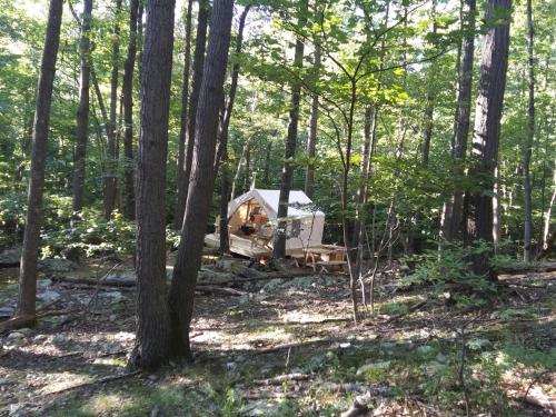 Tentrr - Mountain Hideaway - image 8