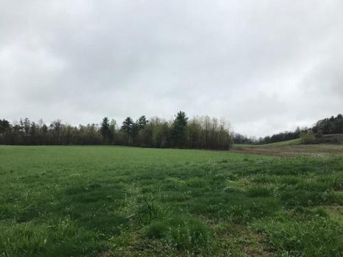 Tentrr Signature Site - Dreamroad Farm Pine Tree - image 8