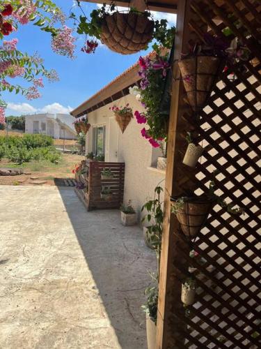 Al baidar zimmer in Majdal Shams