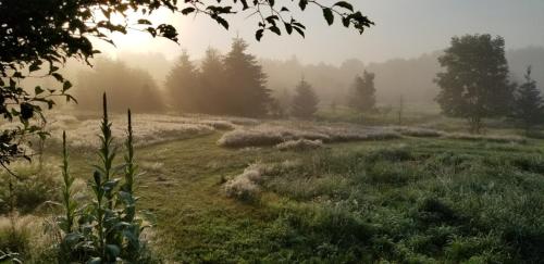 Tentrr Signature - Pastoral Paths at Little Farm Too - image 13