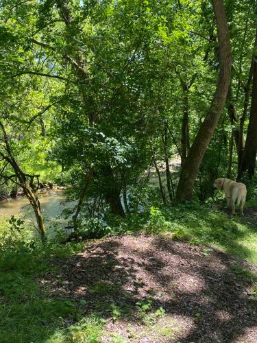 Tentrr - Sycamore Hill Farm Creekside - image 8