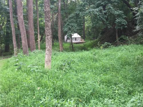 Tentrr - Sycamore Hill Farm Creekside - image 12