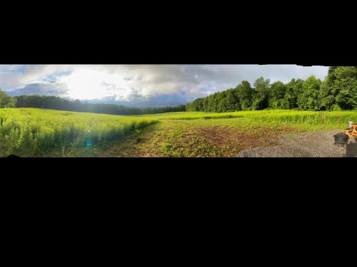 Tentrr Signature - Mt Otsego Sunrise Meadow - image 8