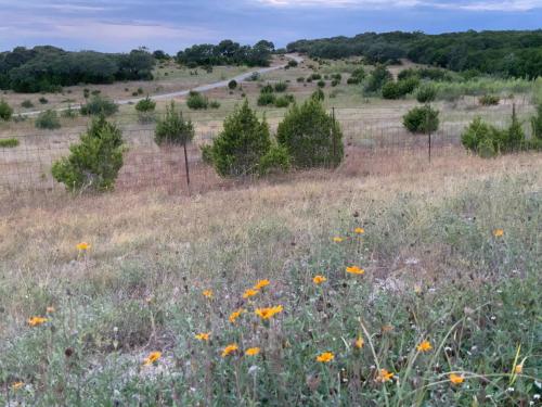 Tentrr Signature Site - Inspiring Oaks Ranch - image 5
