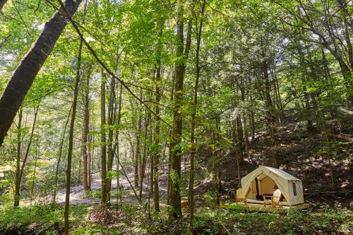 Tentrr - Huntley Hollow Brook - main image