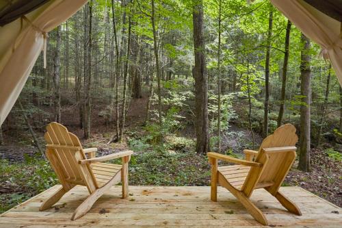 Tentrr - Huntley Hollow Brook - image 4