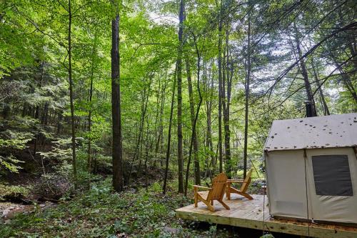 Tentrr - Huntley Hollow Brook - image 7