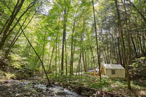 Tentrr - Huntley Hollow Brook - image 10