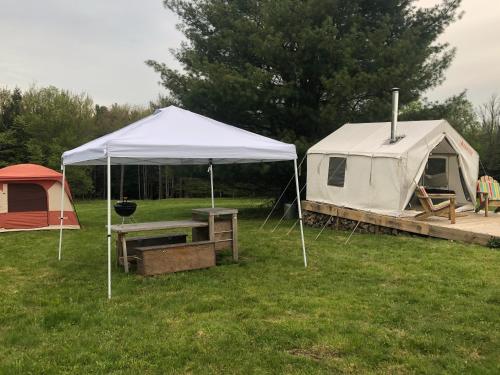 Tentrr Signature Site - Mountain View Campsite - image 6