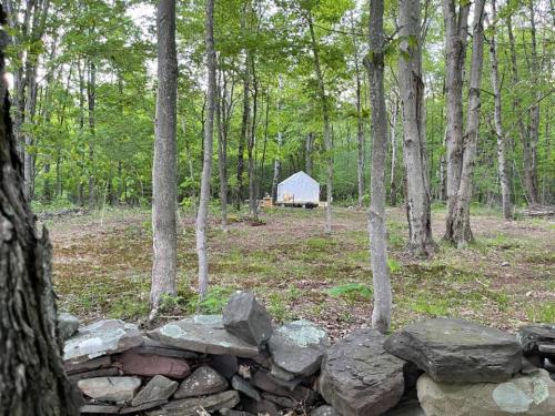 Tentrr Signature Site - Bramley Mountain Trail Camp - image 3