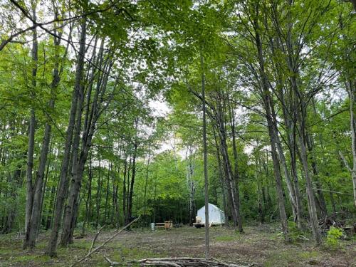 Tentrr Signature Site - Bramley Mountain Trail Camp - image 7