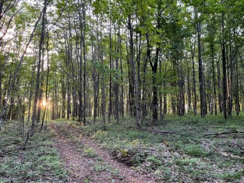 Tentrr Signature Site - Bramley Mountain Trail Camp - image 10