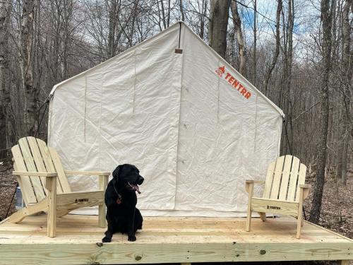 Tentrr Signature Site - Bramley Mountain Trail Camp - image 10