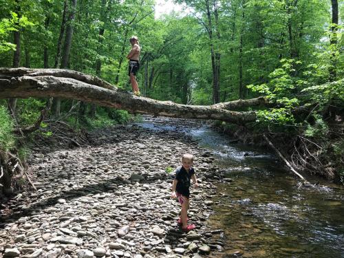 Tentrr - Big Indian Wilderness Paradise - image 11