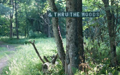 Tentrr - Big Indian Wilderness Paradise - image 8
