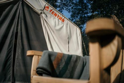 Tentrr Signature Site - Beautiful Campsite near the Brazos River - image 11