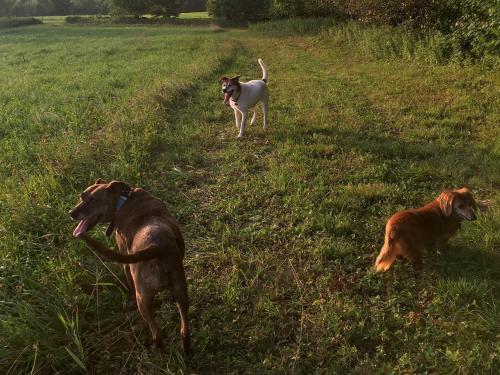 Tentrr - Three Dog Knoll - image 11