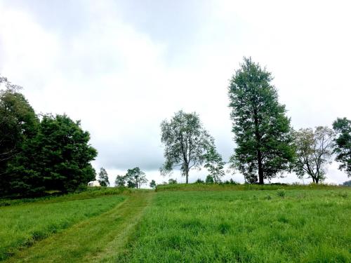Tentrr - Three Dog Knoll - image 2