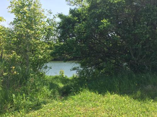 Tentrr - Sand Hill Farm - image 7