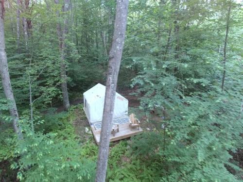 Tentrr - Hillside Camp in Southern Vermont - image 3