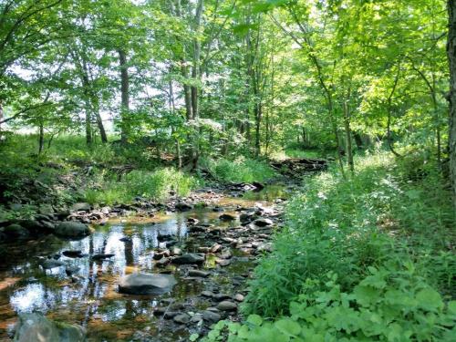 Tentrr - Bearkill Brook Campsite - main image