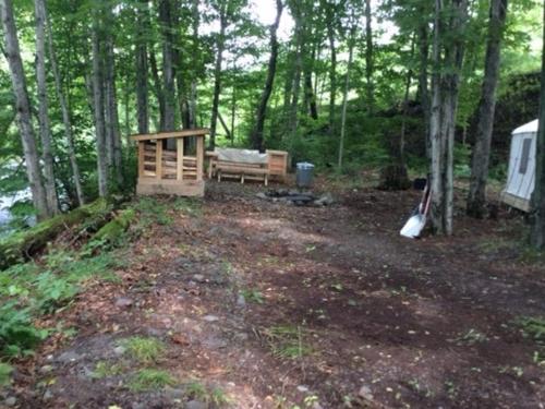 Tentrr - Bearkill Brook Campsite - image 6