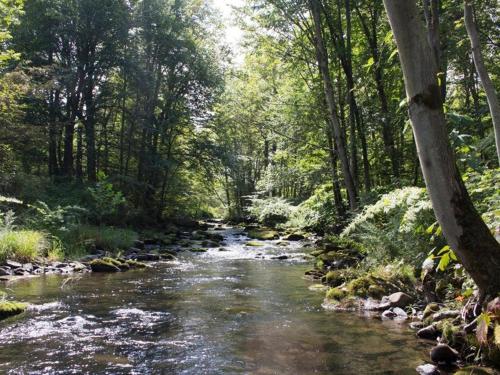 Tentrr - Wallenpaupack Creek North - image 8