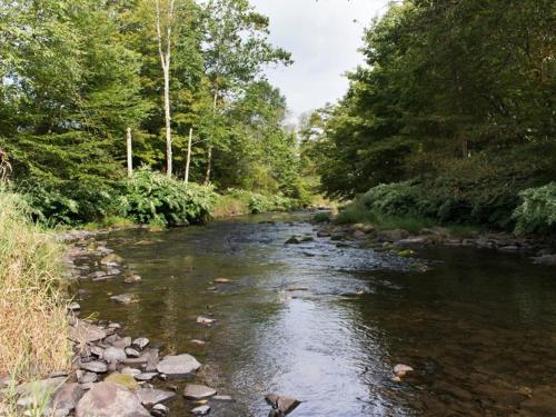 Tentrr - Wallenpaupack Creek North - image 11
