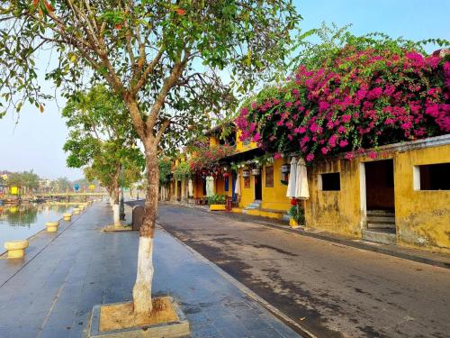 Hoi An Town Center - 주변 환경