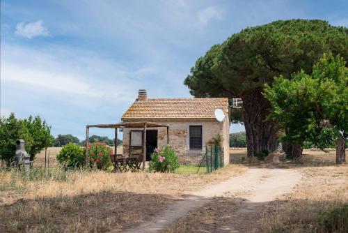 One-Bedroom Cottage (2 Adults) - Separate Building