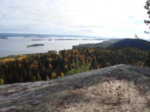 Koli Freetime Cottages - image 7