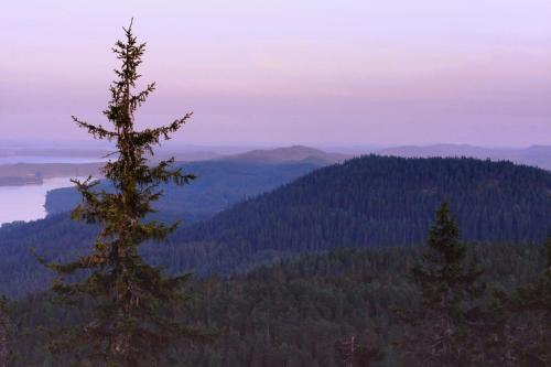 Koli Freetime Cottages - image 13