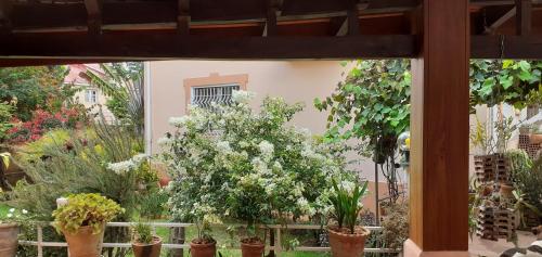 Garden, Chambre d'Hote Villa Maritampona in Antsirabe