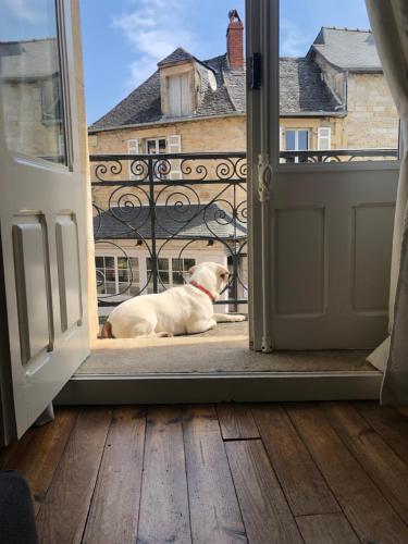 Fleur d’Iris in Perpezac-Le-Blanc