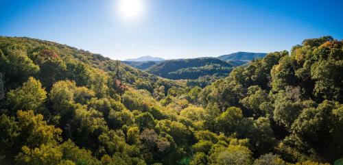 The Wanderer Guesthouse