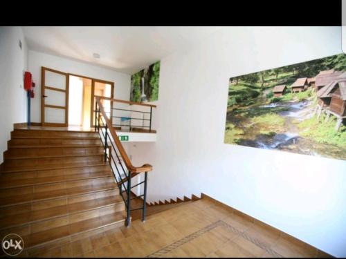 Viesnīcas āriene, Vlašićka ruža Eko FIS 303 (Vlasicka ruza Eko FIS 303) in Šišava
