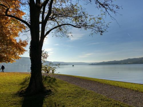 Bed & Breakfast Lake View