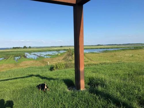 Gastenverblijf By ús thús (Gastenverblijf By us thus) in Dongeradeel