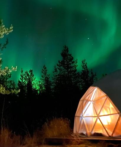 Pandomes Aurora Igloo - Hotel - Rovaniemi