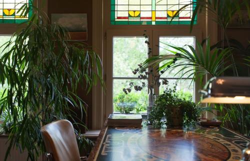 B&B De Lachende Engel - image 5