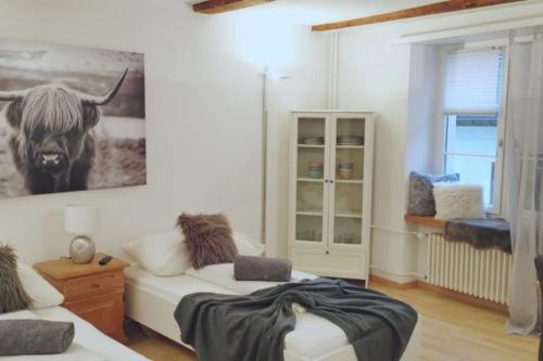 La Suite, Chur (fotografie 8)