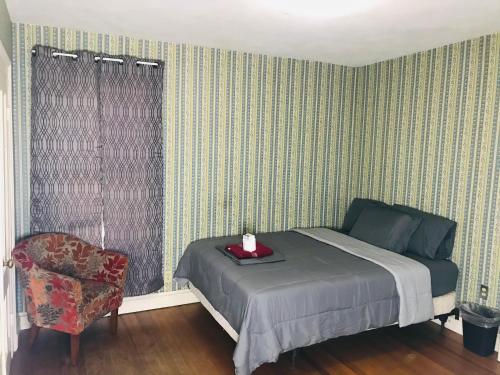 Private Room/Min. from Downtown 2 - Apartment - Hartford