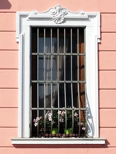 Casa Calicantus - image 2